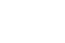 LOCAL PROFILE
